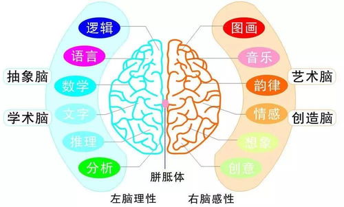 2017年北京全腦超速記憶國慶集訓營 告別死記硬背，激發孩子無限潛能